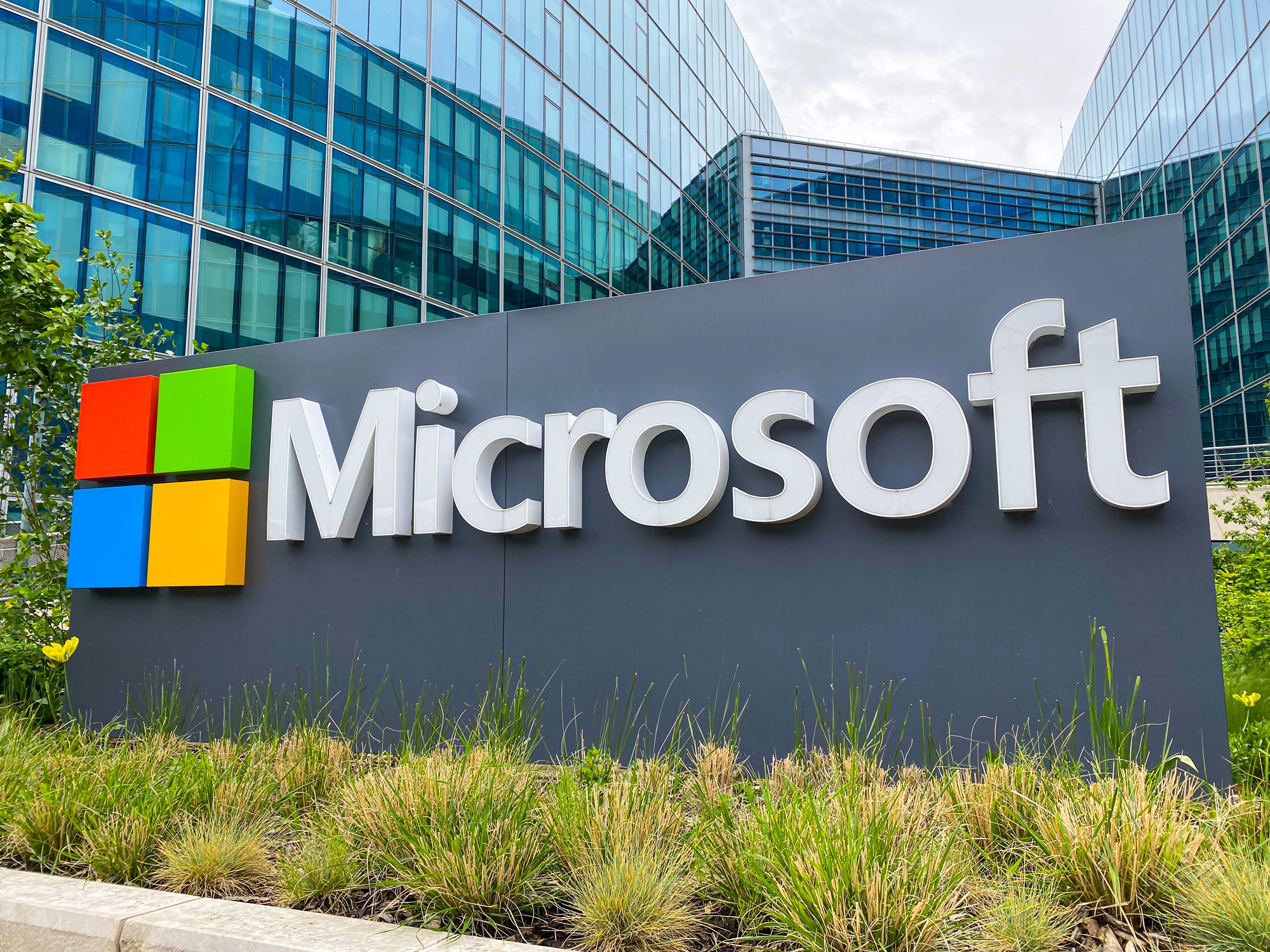 Microsoft voor bedrijven